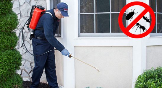 Digor Hamam Böceği İlaçlama böcek ilaçlama ve haşere kontrolü — ilaclama-tr.com